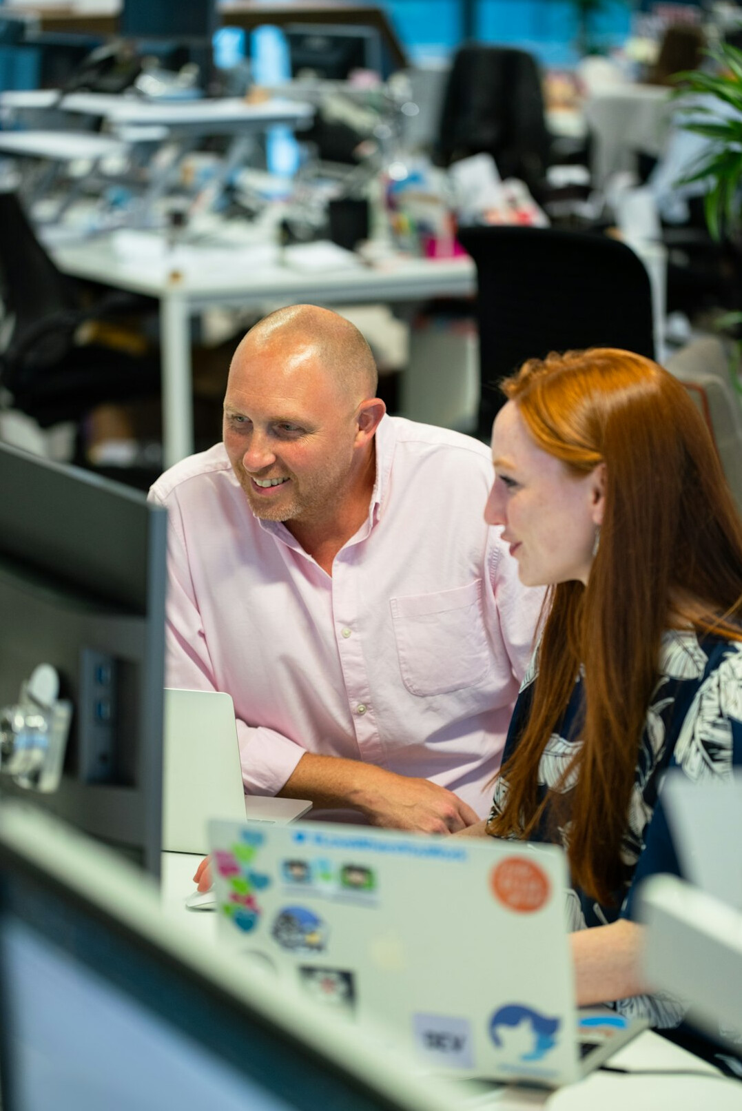 software developers working on insurance system